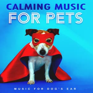 Calming Music for Pets - Music for Dog's Ear