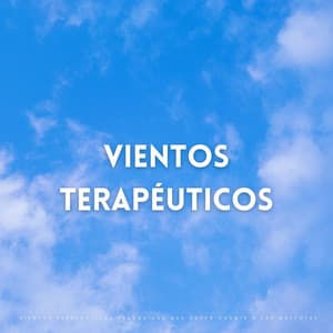 Vientos Terapéuticos Tranquilos Que Hacen Dormir A Las Mascotas - Algo de Música
