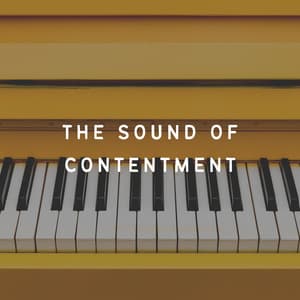 The Sound of Contentment - Chillout Lounge Piano