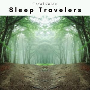 2022 Sleep Travelers - Nature Sounds