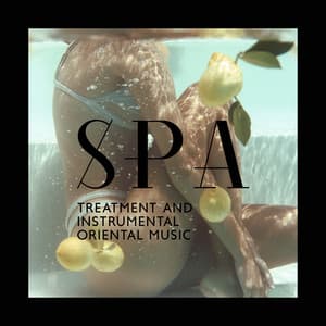 Spa Treatment and Instrumental Oriental Music - Therapy Spa Music Paradise