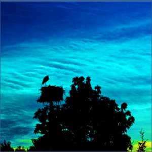 White Noise, Brown Noise, Appliances, Water and other Audio - Agua Del Mar