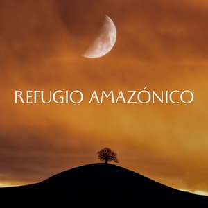 Refugio Amazónico - Sonidos de la selva amazónica