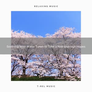 2020 Best: Soothing Wild Water Tunes to Take a Nap and High Hopes - Mother Nature FX