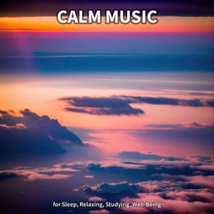 #1 Calm Music for Sleep, Relaxing, Studying, Well-Being - Instrumental