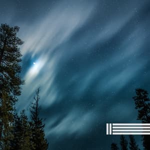 Night Sounds - Night Sounds