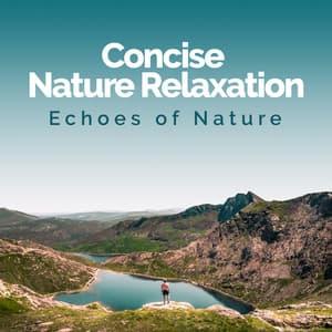 Concise Nature Relaxation - Echoes Of Nature