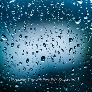 Hibernating Time with Pure Rain Sounds Vol. 1 - Rainfall