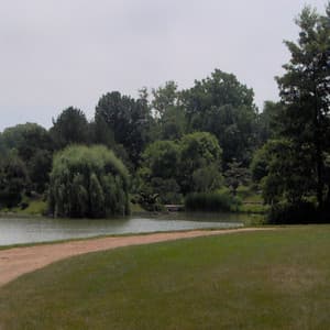 White Noise, Brown Noise, Vol 13 - Relaxation