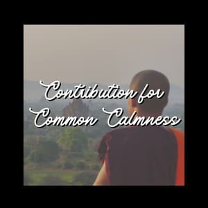 Contribution for Common Calmness - Deep Sleep Music for Insomnia