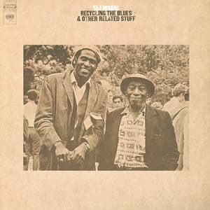 Recycling the Blues & Other Related Stuff - Taj Mahal