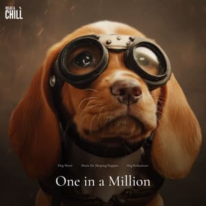 #01 One in a Million - Dog Music