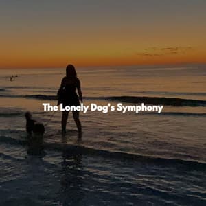The Lonely Dog's Symphony - Musica para Estudiar Playlist