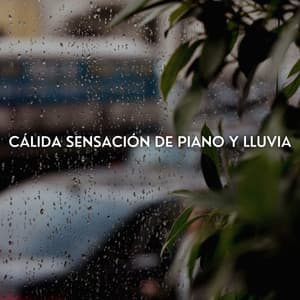 Cálida Sensación De Piano Y Lluvia - Sonidos del océano Efectos especiales