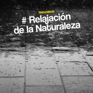 # Relajación de la Naturaleza - Naturaleza