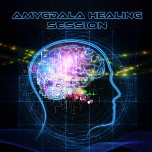 Amygdala Healing Session - Armonia Cuore