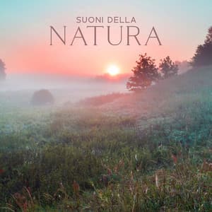 Suoni Della Natura: Musica Rilassante Con Rumore Di Pioggia, Suoni Del Bosco, Onde Oceaniche - Melodie Rilassanti Della Natura