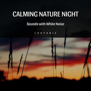 Calming Nature Night Sounds with White Noise, Loopable - Frog Sounds Channel