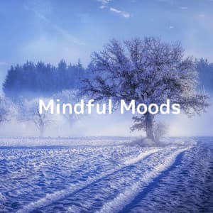 Mindful Moods - Soulful Symphony