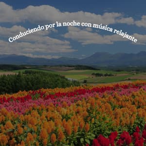 Conduciendo por la noche con música relajante - Jazz BGM