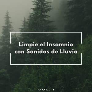 Limpie El Insomnio Con Sonidos De Lluvia Vol. 1 - Lluvia Para Dormir Mejor
