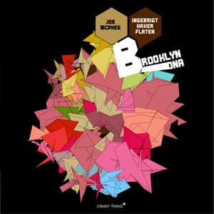 Brooklyn DNA - Joe Mcphee