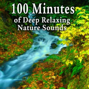 100 Minutes of Deep Relaxing Nature Sounds - Nature Soundscape