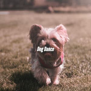Dog Dance - Jazz Rilassante Primo