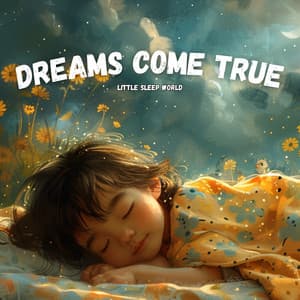 Dreams Come True - Little Sleep World