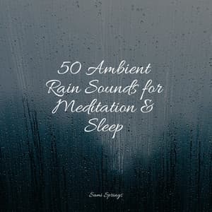 50 Ambient Rain Sounds for Meditation & Sleep - Zen