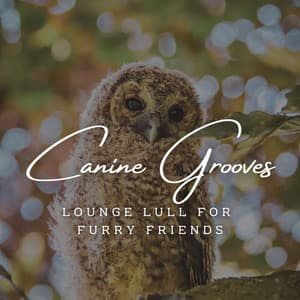 Canine Grooves: Jazz Café Serenades for Pooches - Monday Morning Jazz Playlist