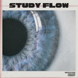Study Flow - Meditation Healing Therapy