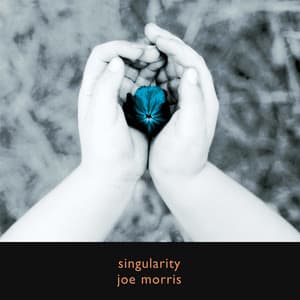 Singularity - Joe Morris