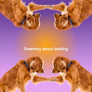 Dreaming about barking - Música Chill para Cafés