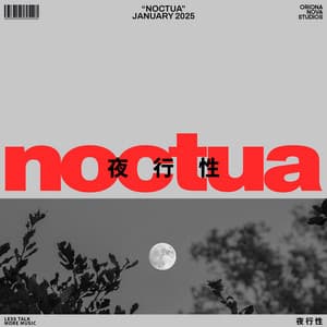 Noctua - Meditation for Healing