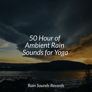 50 Hour of Ambient Rain Sounds for Yoga - Relaxed Minds