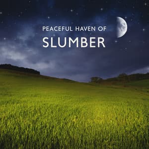Peaceful Haven of Slumber - Good Night Unit