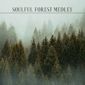 Soulful Forest Medley: Profound Relaxation and Rest - Healing Peace