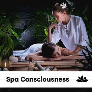 Spa Consciousness - Ultimate Massage Music Ensemble