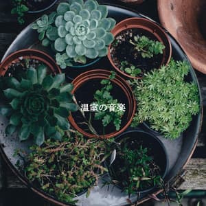 温室の音楽 - Summer Chilling Jazz