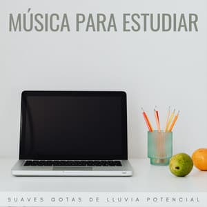 Música Para Estudiar: Suaves Gotas De Lluvia Potencial - Escuela de Lluvia