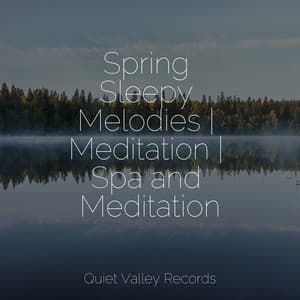 Spring Sleepy Melodies | Meditation | Spa and Meditation - Nature Soundscape
