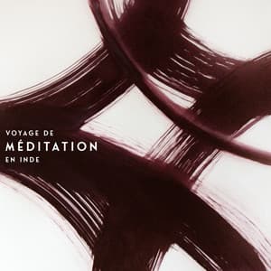 Voyage de méditation en Inde: Source d'équilibre, d'énergie vitale et d'harmonie - Ensemble de Musique Zen Relaxante