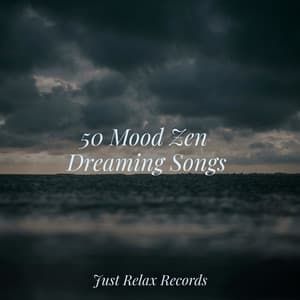 50 Mood Zen Dreaming Songs - MÚSICA PARA NIÑOS