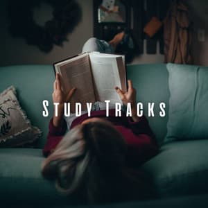 Study Tracks: Chill Music for Mindful Learning - Mindful Audio