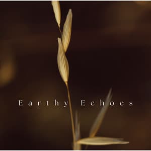 Earthy Echoes - Instrumental Jazz Music Guys