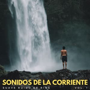 Sonidos De La Corriente: Suave Ruido De Ríos Vol. 1 - Aguas Naturales