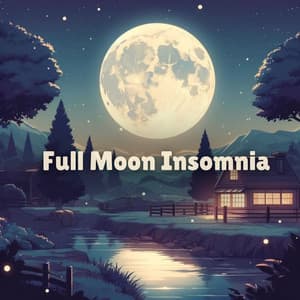 Full Moon Insomnia: Sleepless Night LoFi Music - Lots of Lofi