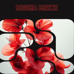 Begonia Breeze - Floral Health - HerBaLance