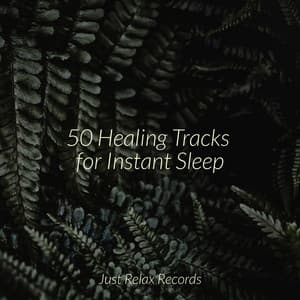 50 Healing Tracks for Instant Sleep - Shakuhachi Sakano